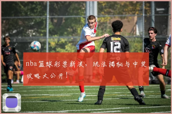 nba篮球彩票新浪，玩法揭秘与中奖攻略大公开！