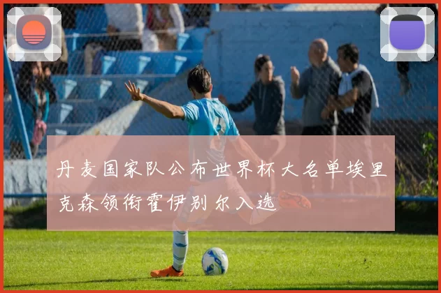 丹麦国家队公布世界杯大名单埃里克森领衔霍伊别尔入选