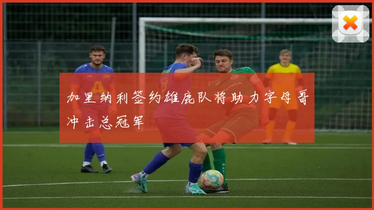 加里纳利签约雄鹿队将助力字母哥冲击总冠军