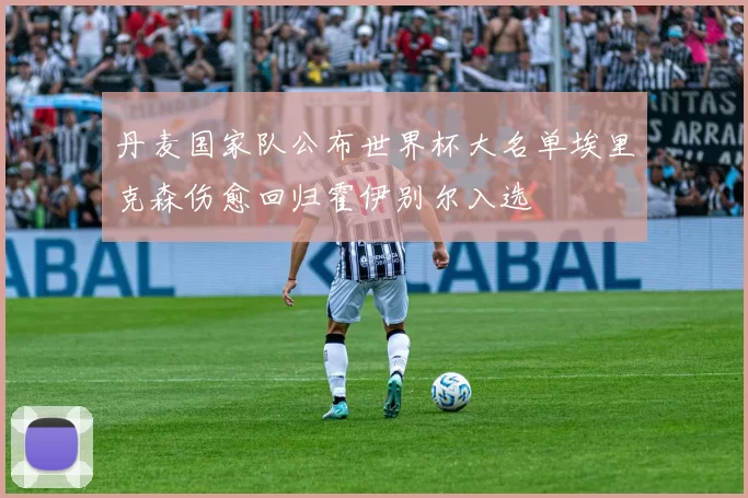 丹麦国家队公布世界杯大名单埃里克森伤愈回归霍伊别尔入选