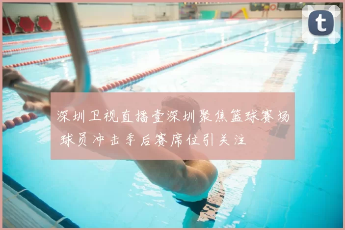 深圳卫视直播壹深圳聚焦篮球赛场 球员冲击季后赛席位引关注