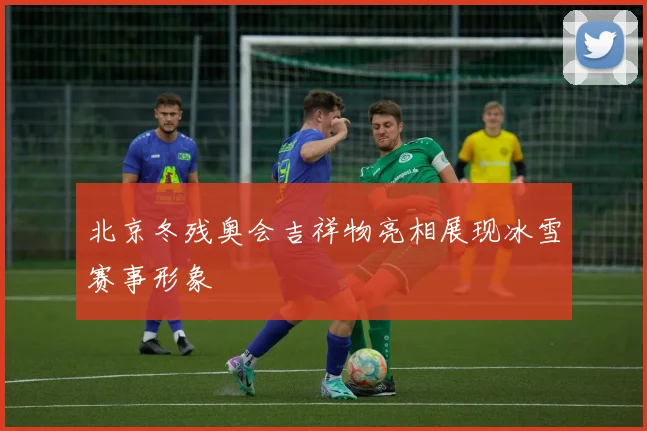 北京冬残奥会吉祥物亮相展现冰雪赛事形象